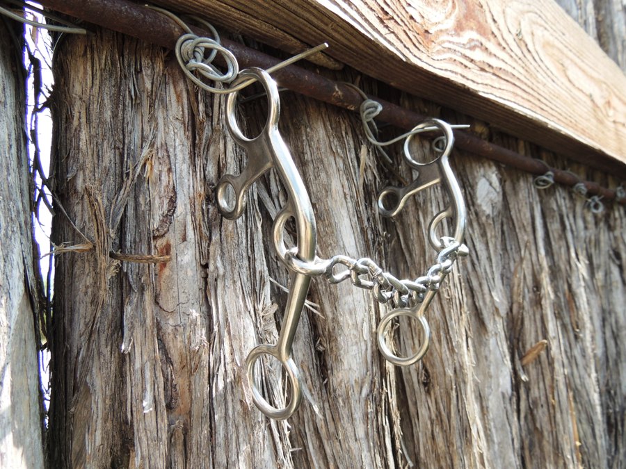 Bogie Chain